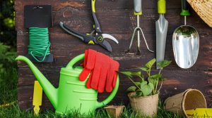Sale-of-gardening-and-agricultural-tools